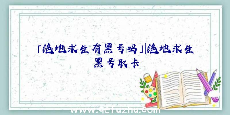 「绝地求生有黑号吗」|绝地求生黑号取卡